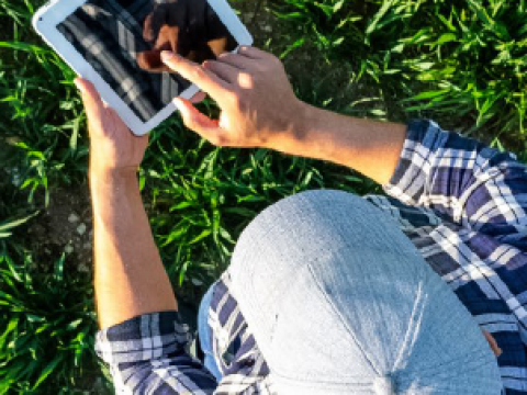 Captura de pantalla 2025-12-21 125410