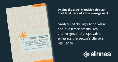 English_ Noticia informe GT3