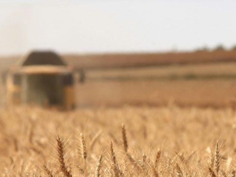 bf4ed1652b8fe227c040e25c0d54f3dbae377084