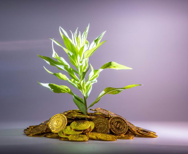 jinyun-R2qc9qGVFWI-unsplash