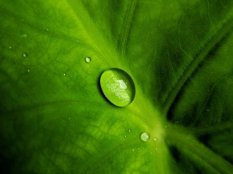 raj-madhvi-TnsFRQvWlFY-unsplash